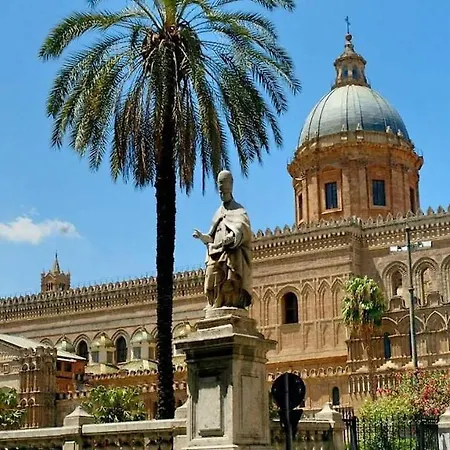 Archi Centro *